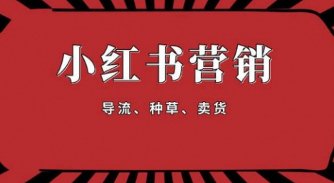 【副业项目1917期】手把手教做小红书帐号，一篇笔记涨粉10000，月入十万的博主秘笈-网赚资源网