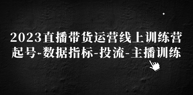 【副业项目5282期】2023直播带货运营线上训练营，起号-数据指标-投流-主播训练-网赚资源网