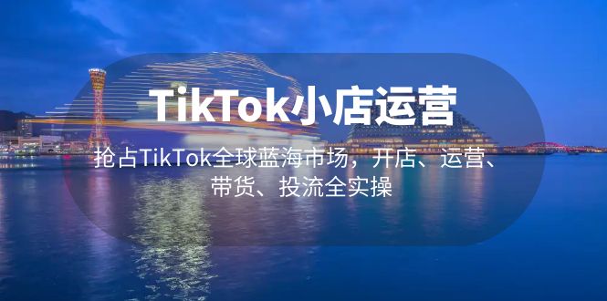 【副业项目5340期】TikTok小店运营 抢占TikTok全球蓝海市场，开店、运营、带货、投流全实操-网赚资源网