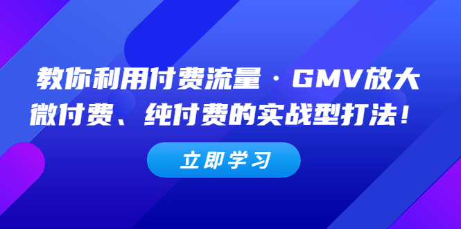 【副业项目5265期】教你利用付费流量·GMV放大，微付费、纯付费的实战型打法-网赚资源网