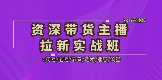 【副业项目5333期】资深·带货主播拉新实战班，0粉号/老号/节奏/话术/播感/流量-38节完整版-网赚资源网