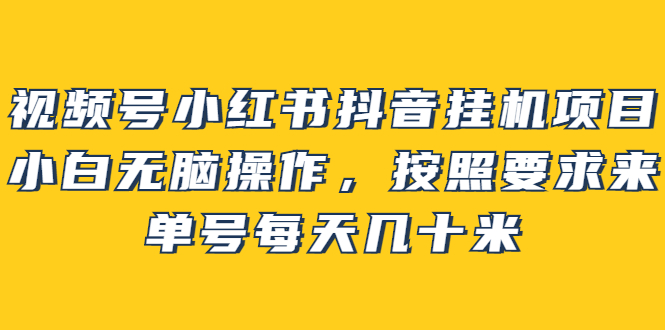 【副业项目2904期】视频号小红书抖音挂机项目，小白无脑操作，按照要求来，单号每天几十米-网赚资源网