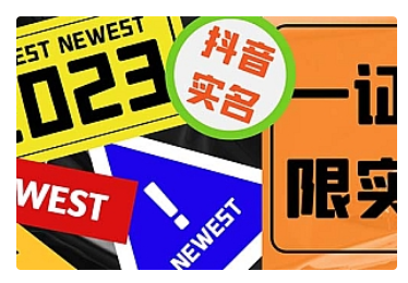 【副业项目5427期】外面收费1200最新抖音一证无限实名技术 无视限制封禁【详细玩法视频教程】-网赚资源网