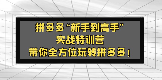 【副业项目5317期】拼多多“新手到高手”实战特训营：带你全方位玩转拼多多-网赚资源网