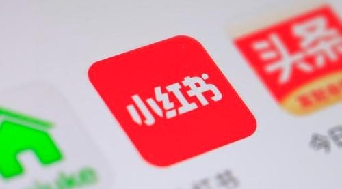 【副业项目2046期】2021 年小红书策划运营方案与报告 爆款打造秘籍-网赚资源网