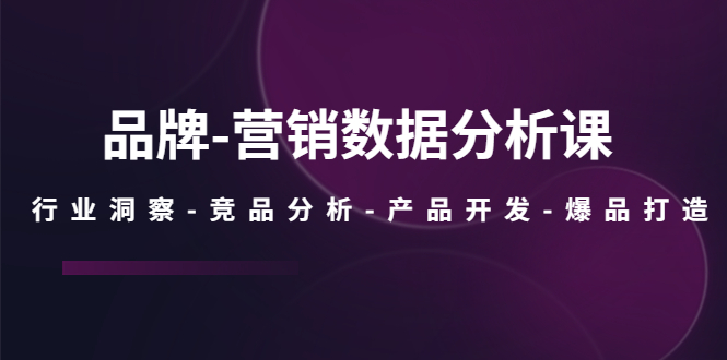 【副业项目5644期】品牌-营销数据分析课，行业洞察-竞品分析-产品开发-爆品打造-网赚资源网