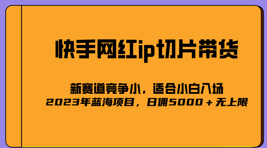 【副业项目5464期】2023爆火的快手网红IP切片，号称日佣5000＋的蓝海项目，二驴的独家授权-网赚资源网