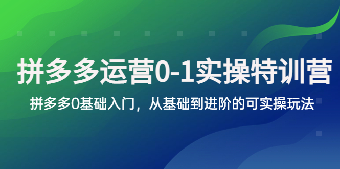 【副业项目5801期】拼多多-运营0-1实操训练营，拼多多0基础入门，从基础到进阶的可实操玩法-网赚资源网