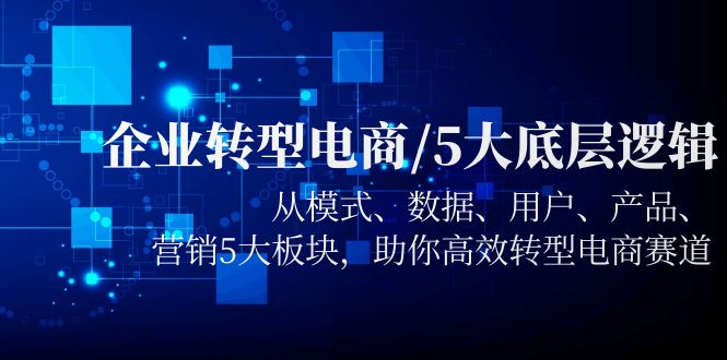 【副业项目5960期】企业转型电商/5大底层逻辑，从模式 数据 用户 产品 营销5大板块，高效转型-网赚资源网