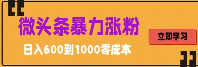 【副业项目5970期】微头条暴力涨粉技巧搬运文案就能涨几万粉丝，简单0成本，日赚600-网赚资源网