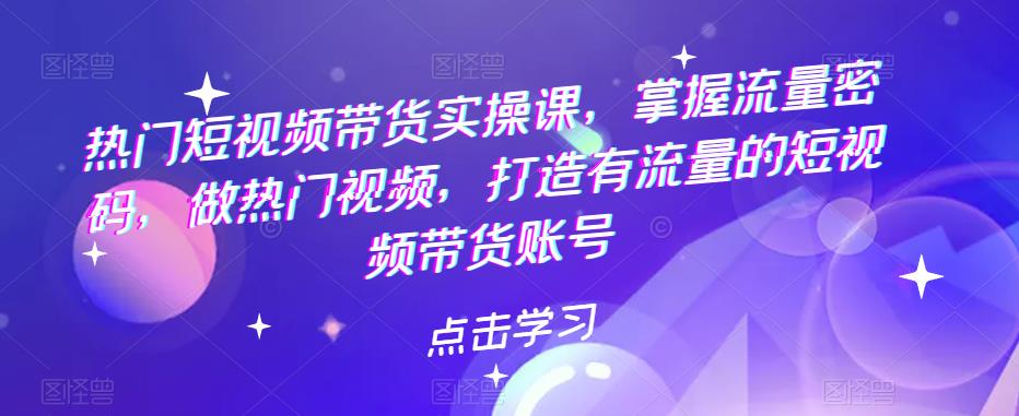 【副业项目5822期】热门短视频带货实战 掌握流量密码 做热门视频 打造有流量的短视频带货账号-网赚资源网