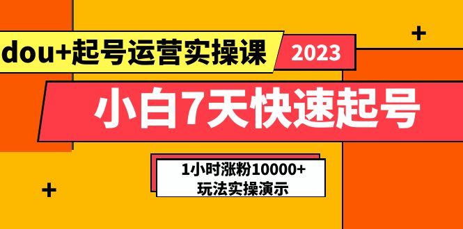 【副业项目5906期】小白7天快速起号：dou+起号运营实操课，实战1小时涨粉10000+玩法演示-网赚资源网