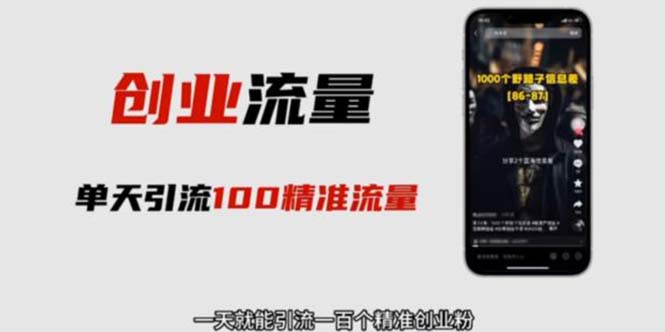 【副业项目5897期】自媒体音频加图文制作视频 一天引流一百个精准创业粉【音频软件+图片素材】-网赚资源网