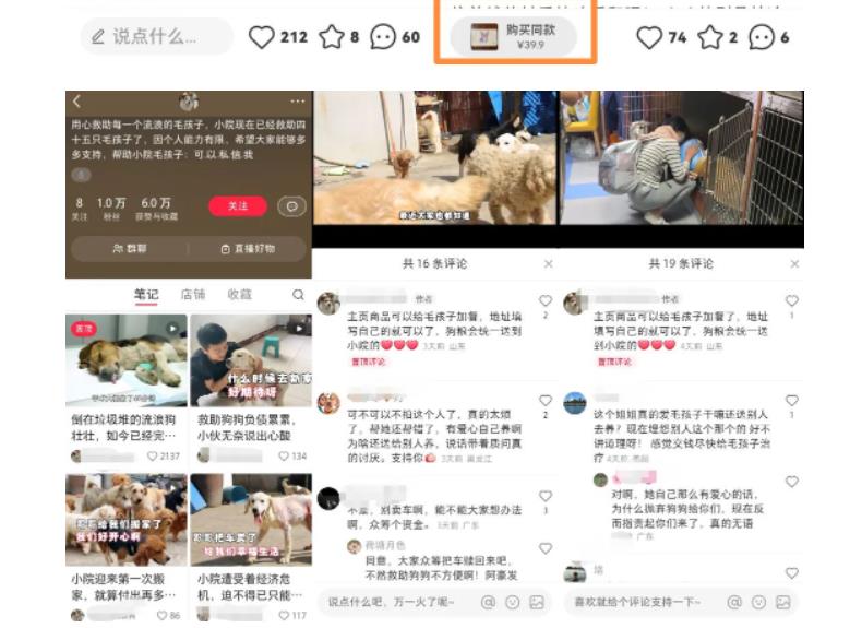 【副业项目5898期】小红书蓝海类赛道：小动物打赏与购买变现副业项目，一条龙玩法分享给你！-网赚资源网