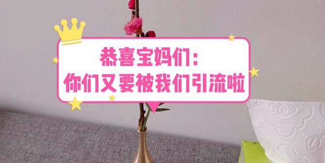 【副业项目5918期】恭喜宝妈们：你们又要被我们引流了（教程+222g资料）-网赚资源网
