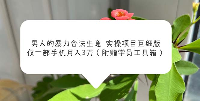 【副业项目5982期】男人的暴力合法生意实操项目巨细版：仅一部手机月入3w（附赠学员工具箱）-网赚资源网