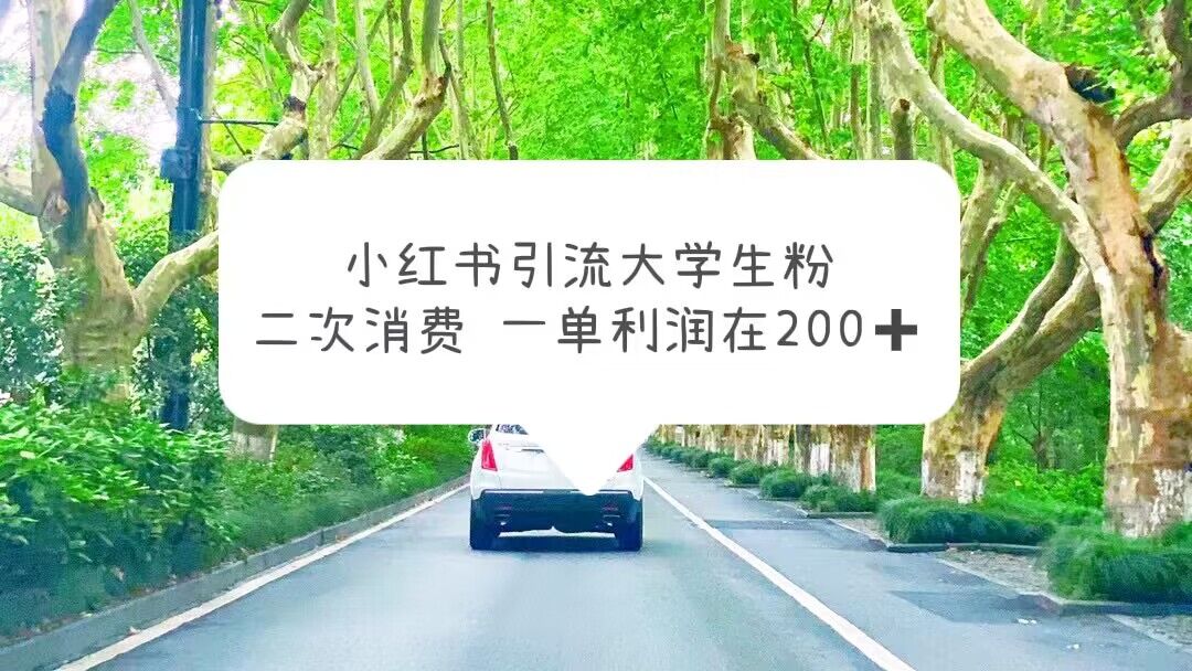 【副业项目5937期】小红书引流大学生粉，变现项目，一单利润在200+（教程+资源）-网赚资源网