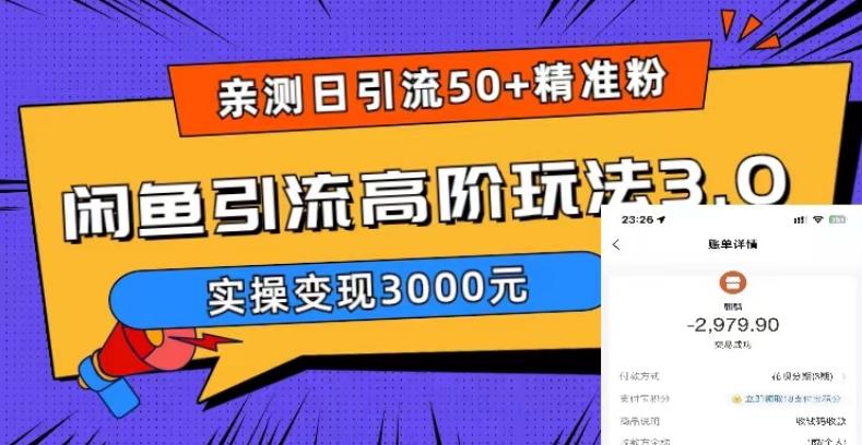 【副业项目5795期】实测日引50+精准粉，闲鱼引流高阶玩法3.0，实操变现3000元-网赚资源网