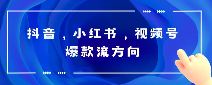 【副业项目6104期】抖音，小红书，视频号爆款流视频制作，简单制作掌握流量密码-网赚资源网