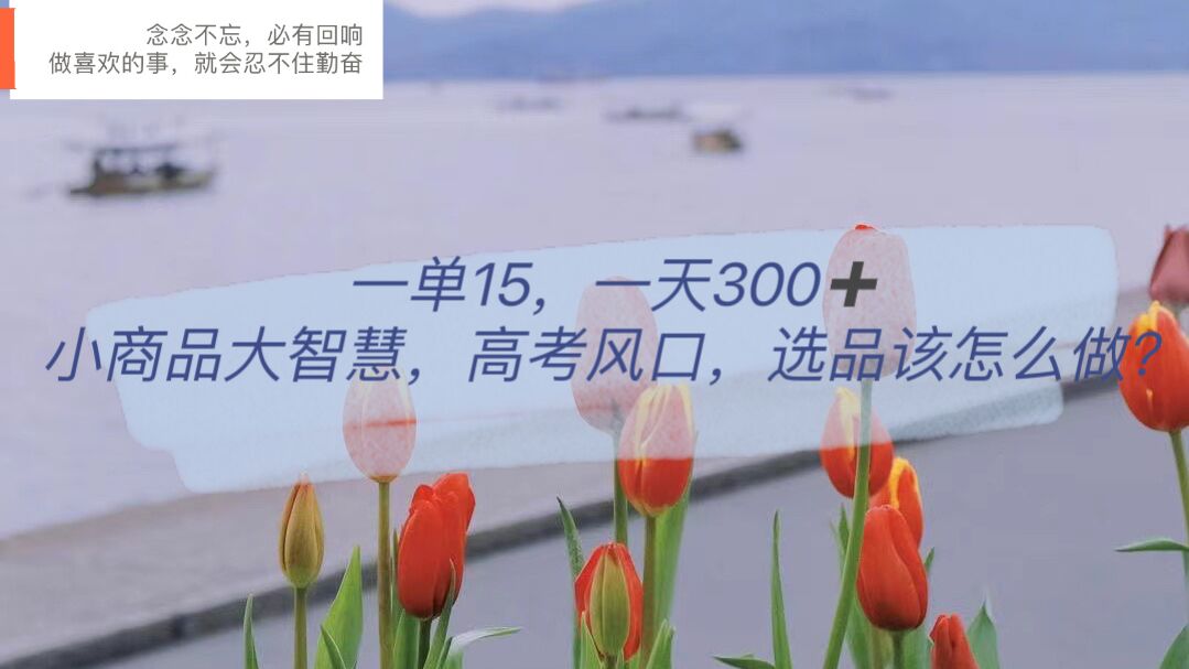 【副业项目6119期】一单15，一天300+，小商品大智慧，高考风口，选品该怎么布局-网赚资源网
