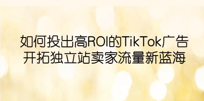 【副业项目6124期】如何投出高ROI·TikTok广告，开拓独立站卖家流量新蓝海-网赚资源网