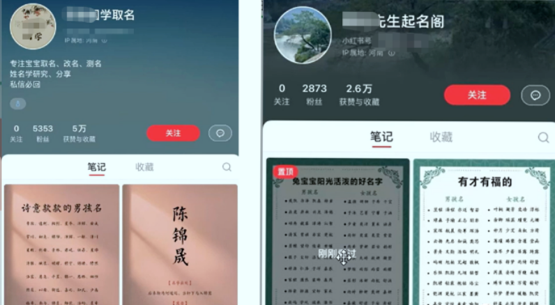 【副业项目6232期】【新课】冷门暴利项目：给宝宝起名（一单200+）内附教程+工具-网赚资源网