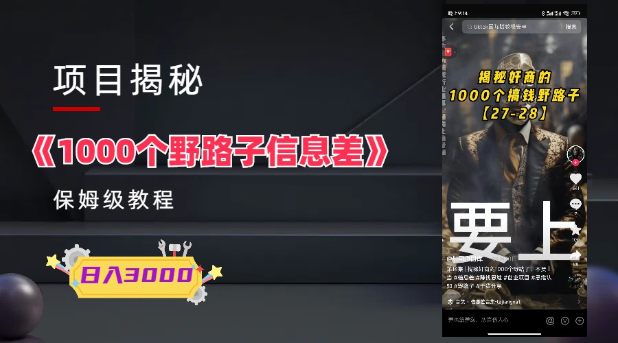 【副业项目6163期】1000个野路子信息差保姆式教程-单日变现3000+的玩法解密-网赚资源网