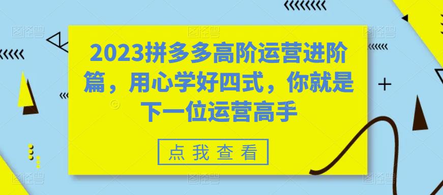 【副业项目6241期】2023拼多多高阶运营进阶篇，用心学好四式，你就是下一位运营高手-网赚资源网