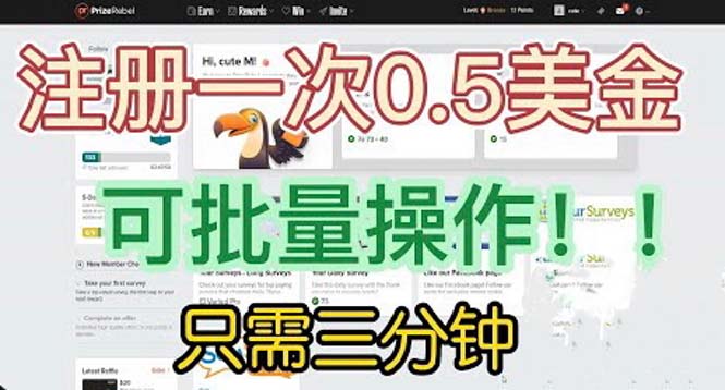 【副业项目6345期】国外项目注册一次0.5美金 只需三分钟无脑操作 可批量放大 小白工作室福利-网赚资源网