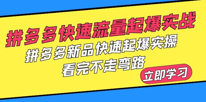 【副业项目6310期】拼多多-快速流量起爆实战，拼多多新品快速起爆实操，看完不走弯路-网赚资源网