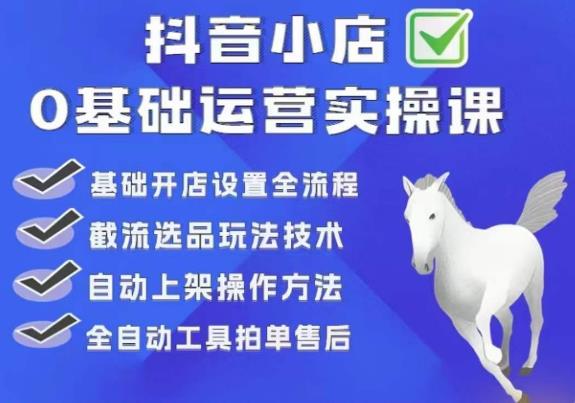 【副业项目6317期】白马电商·0基础抖店运营实操课，基础开店设置全流程，截流选品玩法技术-网赚资源网