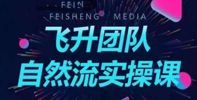 【副业项目6267期】飞升团队课程自然流实操课，抖音半无人起号主播间搭建教学-网赚资源网