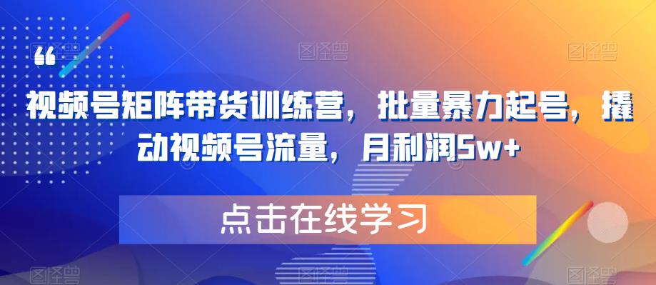 【副业项目6254期】视频号矩阵带货训练营，批量暴力起号，撬动视频号流量，月利润5w+-网赚资源网