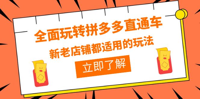【副业项目6359期】全面玩转拼多多直通车，新老店铺都适用的玩法（12节精华课）-网赚资源网