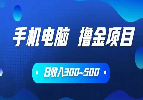 【副业项目6065期】2023手机和电脑都可以撸金的项目，日收入300~500【揭秘】-网赚资源网
