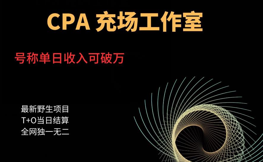 【副业项目6075期】cpa充场工作室，号称单日收入10000+（揭秘）-网赚资源网