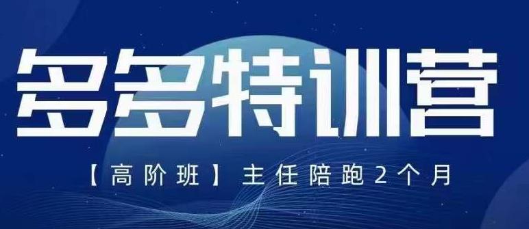 【副业项目6086期】纪主任·5月最新多多特训营高阶班，玩法落地实操，多多全掌握-网赚资源网