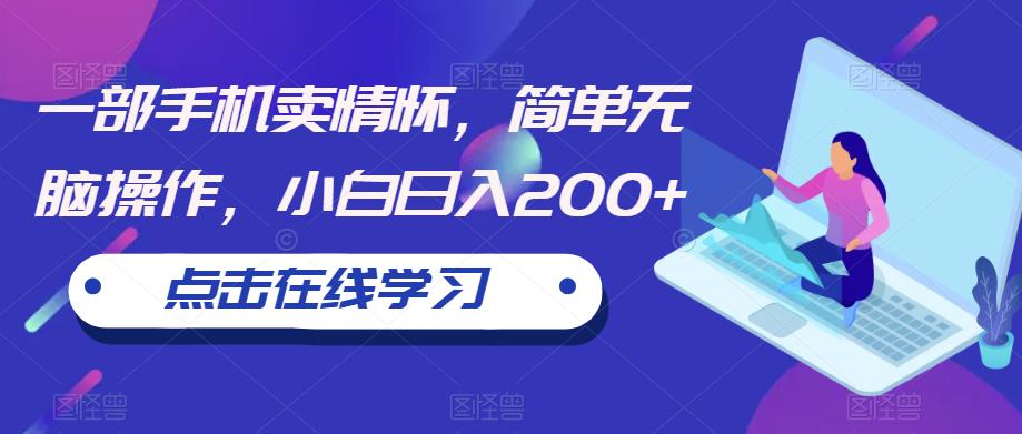 【副业项目6606期】一部手机卖情怀，简单无脑操作，小白日入200+【揭秘】-网赚资源网