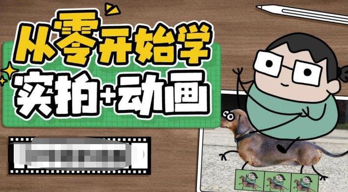 【副业项目6738期】从零开始学实拍加动画，实拍加动画创意教程（49节视频课）-网赚资源网