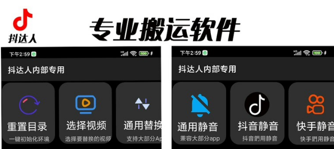 【副业项目6743期】对外收费699抖音傻瓜式一键搬运，起号专用5分钟一个视频《软件+详细教程》-网赚资源网