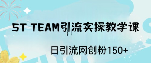 【副业项目6745期】ST TEAM引流实操课，日引流网创粉100+-网赚资源网