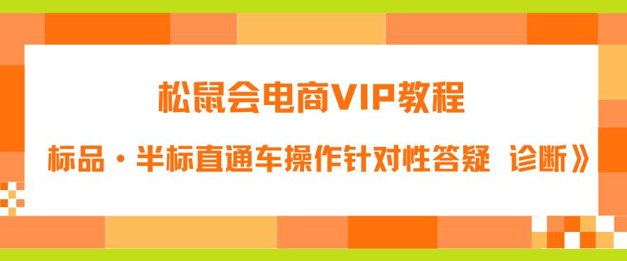 【副业项目6373期】松鼠会电商VIP教程：松鼠《付费推广标品·半标直通车操作针对性答疑&诊断》-网赚资源网