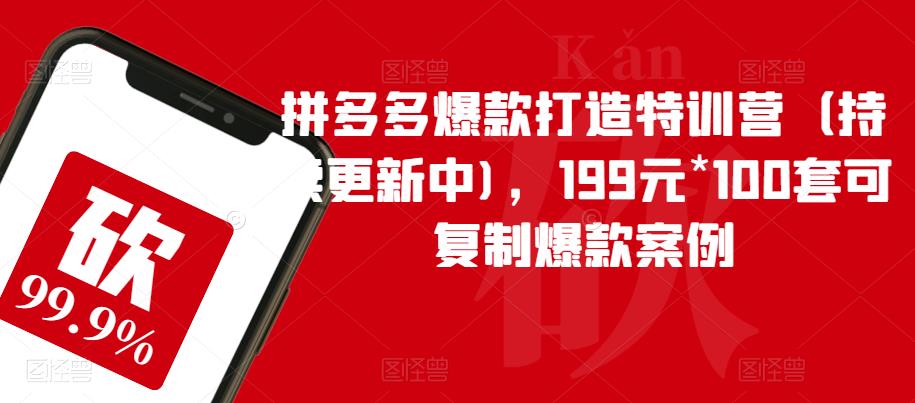 【副业项目6391期】拼多多爆款打造特训营（持续更新中)，199元*100套可复制爆款案例-网赚资源网