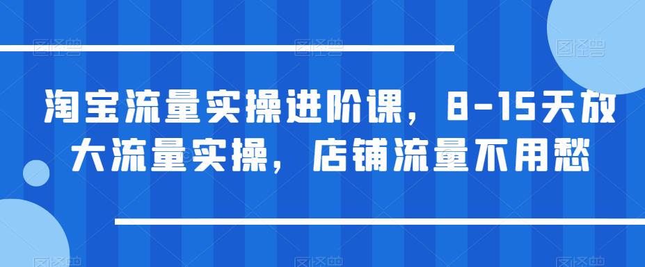 【副业项目6415期】淘宝流量实操进阶课，8-15天放大流量实操，店铺流量不用愁-网赚资源网