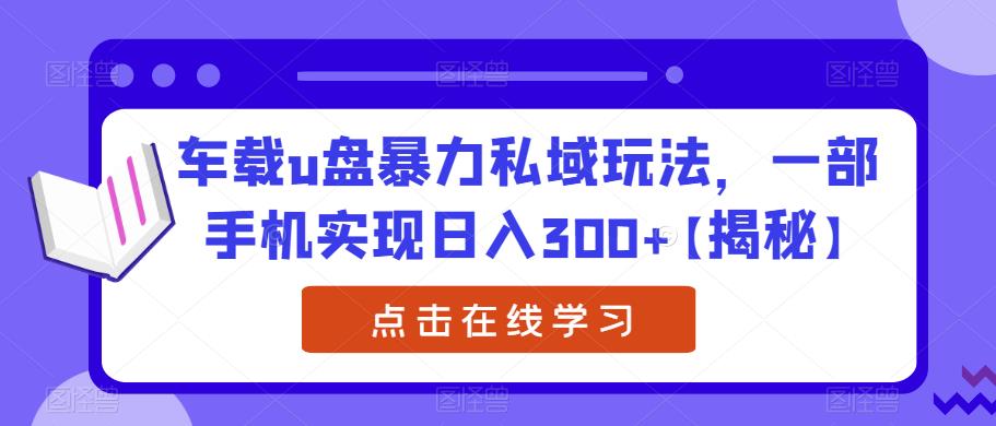 【副业项目6441期】车载u盘暴力私域玩法，一部手机实现日入300+【揭秘】-网赚资源网
