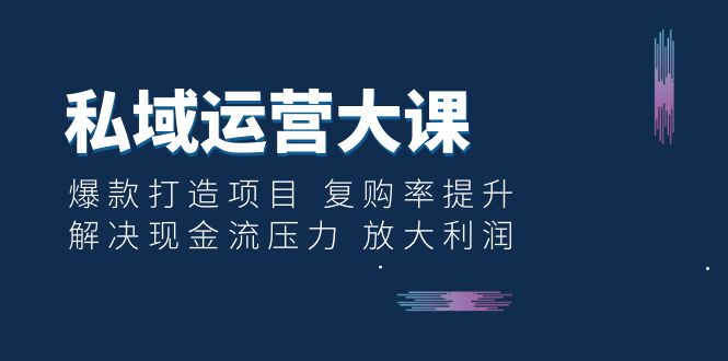 【副业项目6574期】私域运营大课：爆款打造项目 复购率提升 解决现金流压力 放大利润-网赚资源网