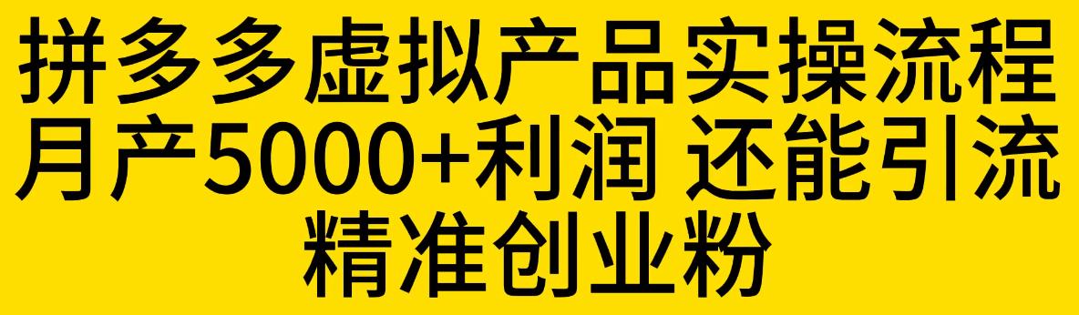 【副业项目6569期】拼多多虚拟产品实操流程，月产5000+利润，还能引流精准创业粉-网赚资源网