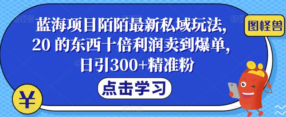 【副业项目6699期】蓝海项目陌陌最新私域玩法，20 的东西十倍利润卖到爆单，日引300+精准粉【揭秘】-网赚资源网