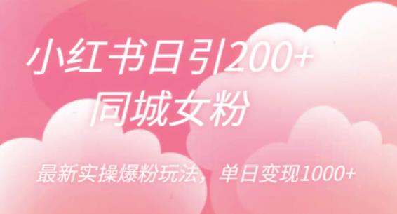 【副业项目6596期】小红书日引200+同城女粉，最新实操爆粉玩法，单日变现1000+-网赚资源网