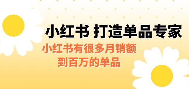 【副业项目6703期】某公众号付费文章《小红书打造单品专家》小红书有很多月销额到百万的单品-网赚资源网